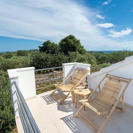 Vila Lila 말리 드르베니크 외부 사진